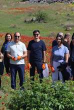 Արագածոտնի մարզպետի աշխատակազմը շաբաթօրյակ է իրականացրել Ագարակի հնագիտական վայրում Արագածոտնի մարզպետի աշխատակազմը շաբաթօրյակ է իրականացրել Ագարակի հնագիտական վայրում