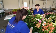 Պետական աջակցությամբ՝ դեպի միջազգային շուկաներ