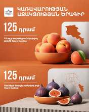 Կառավարությունը կաջակցի նաև դեղձի և թզի վերամշակման նպատակով մթերման